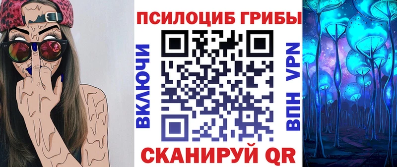 MEGA как зайти  что такое наркотик  Судогда  Галлюциногенные грибы ЛСД 