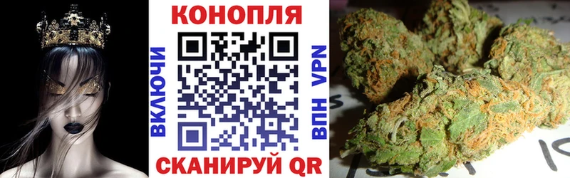 Шишки марихуана LSD WEED  маркетплейс наркотические препараты  Судогда  blacksprut как зайти 